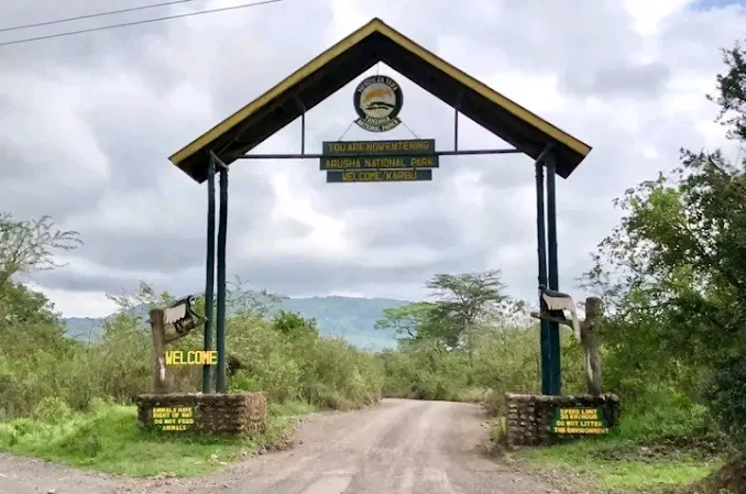 Blog image